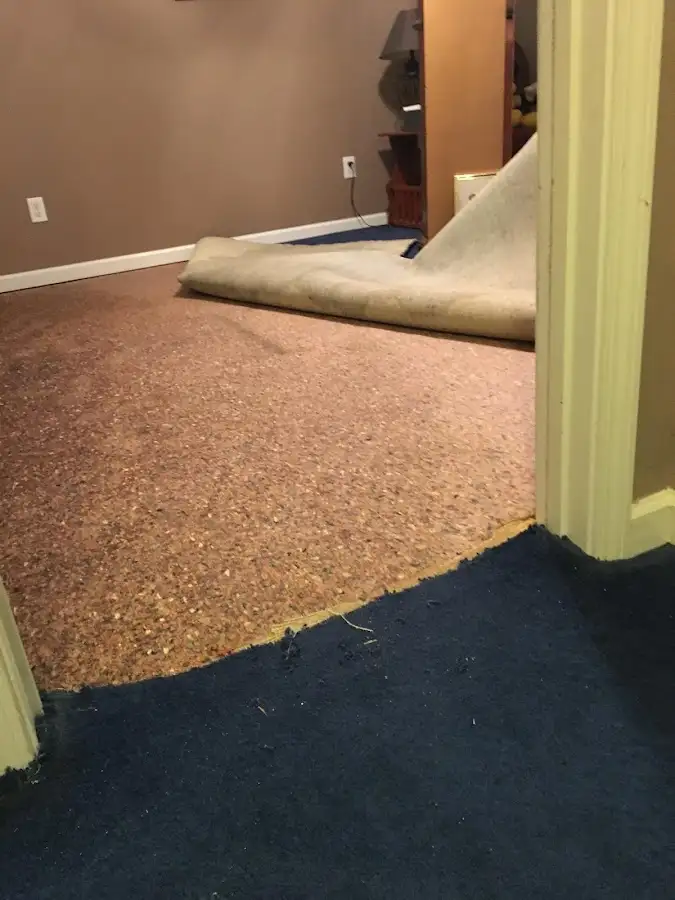 Carpet pad removal revealing water damage during Drying & Dehumidification in Argyle