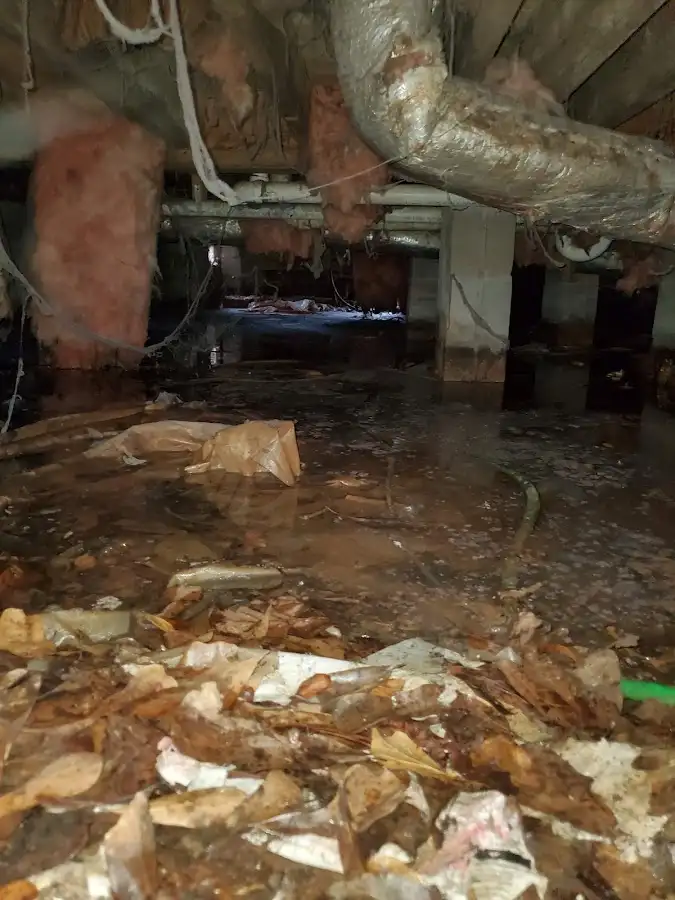 Crawl space flood assessment for Commercial Water Damage Restoration in Argyle